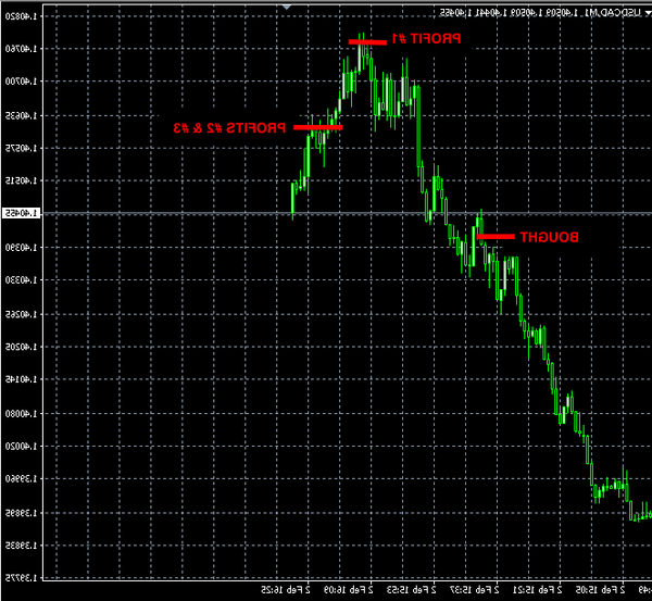 Success Forex charts how much forex trader make