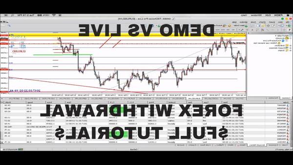 Success Forex demo how forex trading works