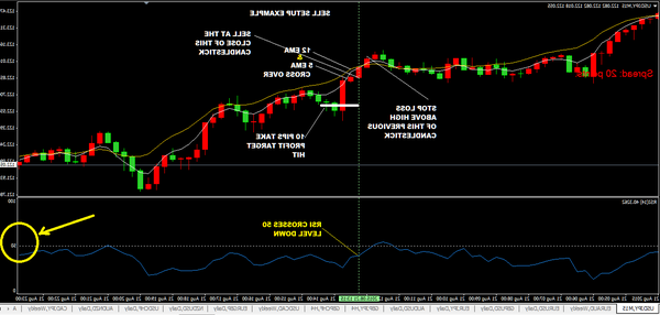 Notice Forex trading for dummies how often does forex update
