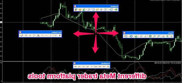 Notice Forex trading for dummies how often should you check forex